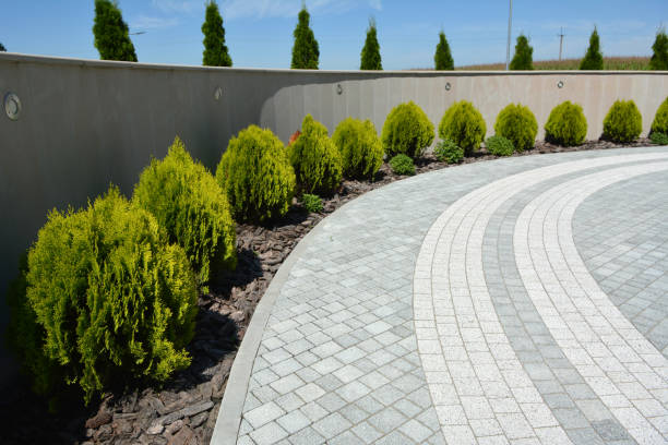 Reasons to Select Us for Your Driveway Paving Requirements in Louisburg, KS
